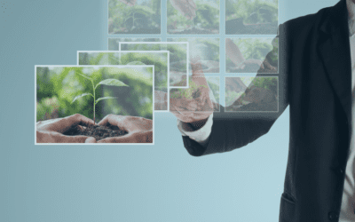 RSE et performance : un duo stratégique incontournable pour les entreprises en 2025